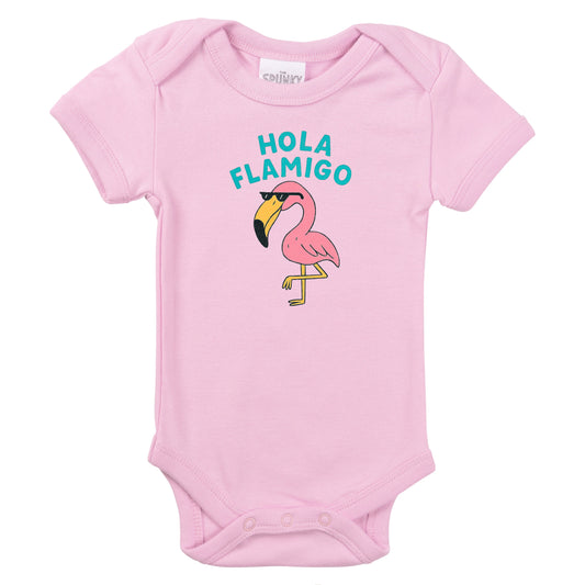 HOLA FLAMIGO